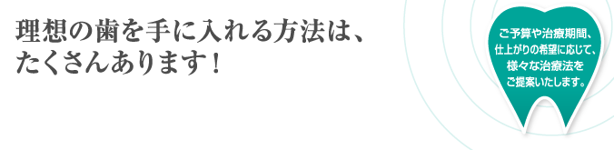 理想の歯を手に入れる方法は、たくさんあります！