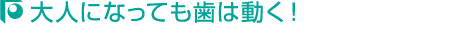大人になっても歯は動く！